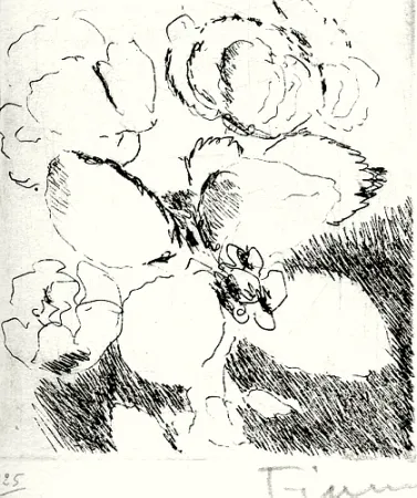 Livro Ilustrado Fiume - Dietro le carte