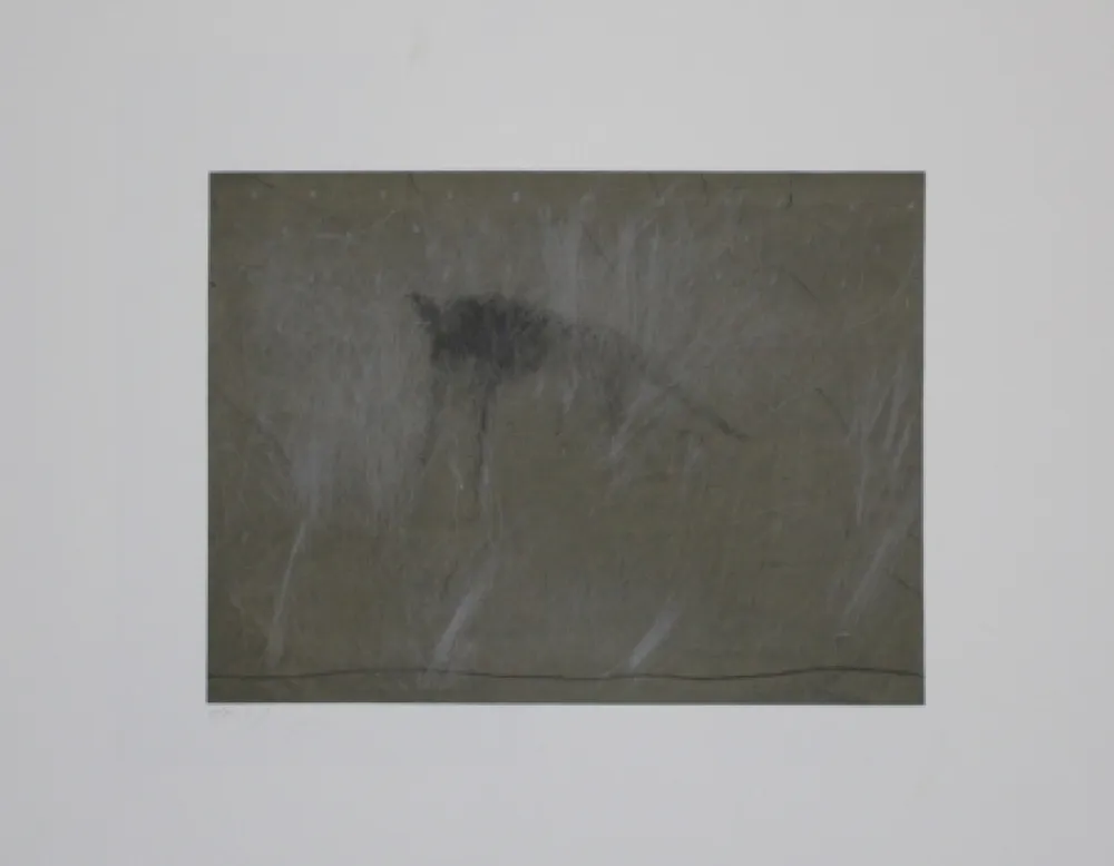 Gravura Fleischmann - Beast