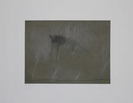 Gravura Fleischmann - Beast