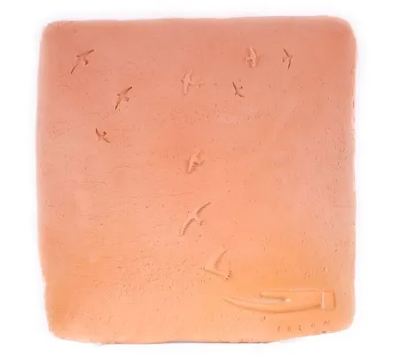 Cerâmica Folon - Plate - take-off - L'envol