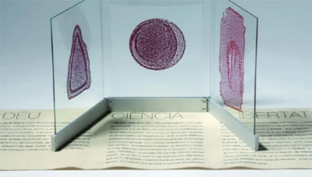 Livro Ilustrado Fontcuberta - Deu, ciència i llibertat