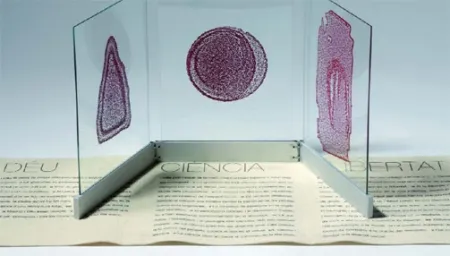 Livro Ilustrado Fontcuberta - Deu, ciència i llibertat