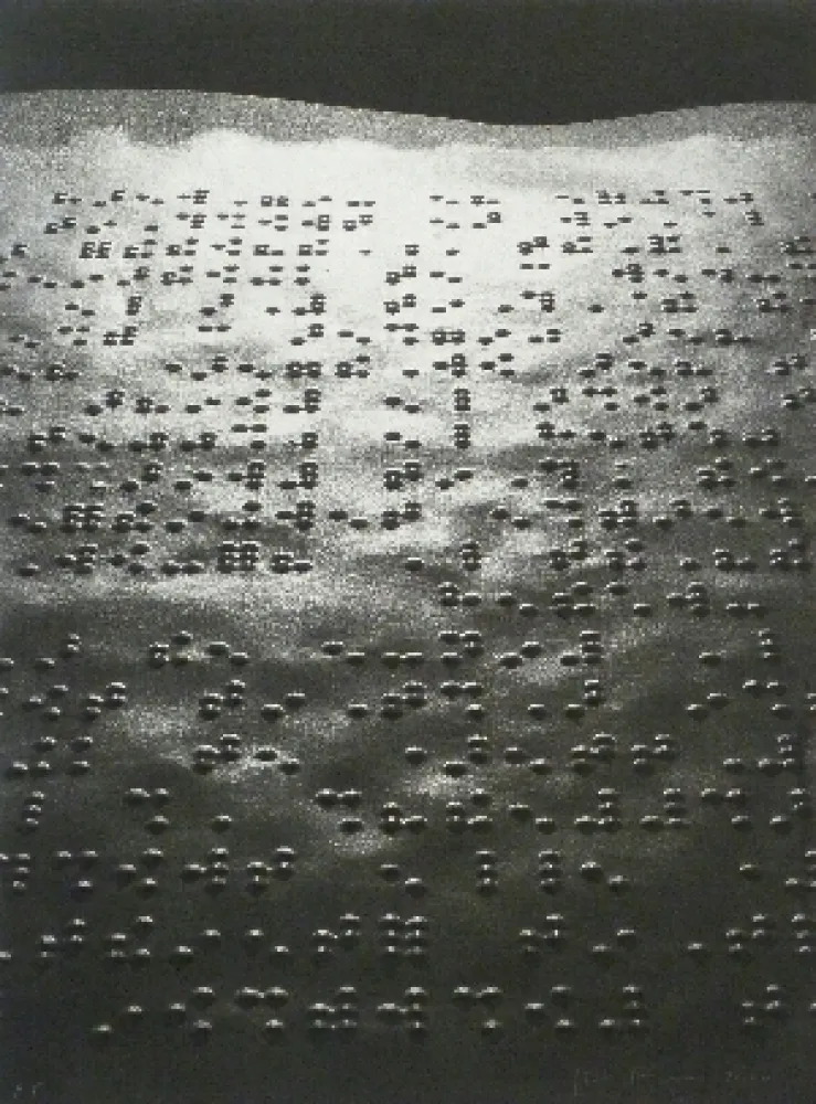 Fotografia Fontcuberta - Paisatge braille