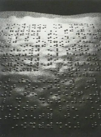 Fotografia Fontcuberta - Paisatge braille