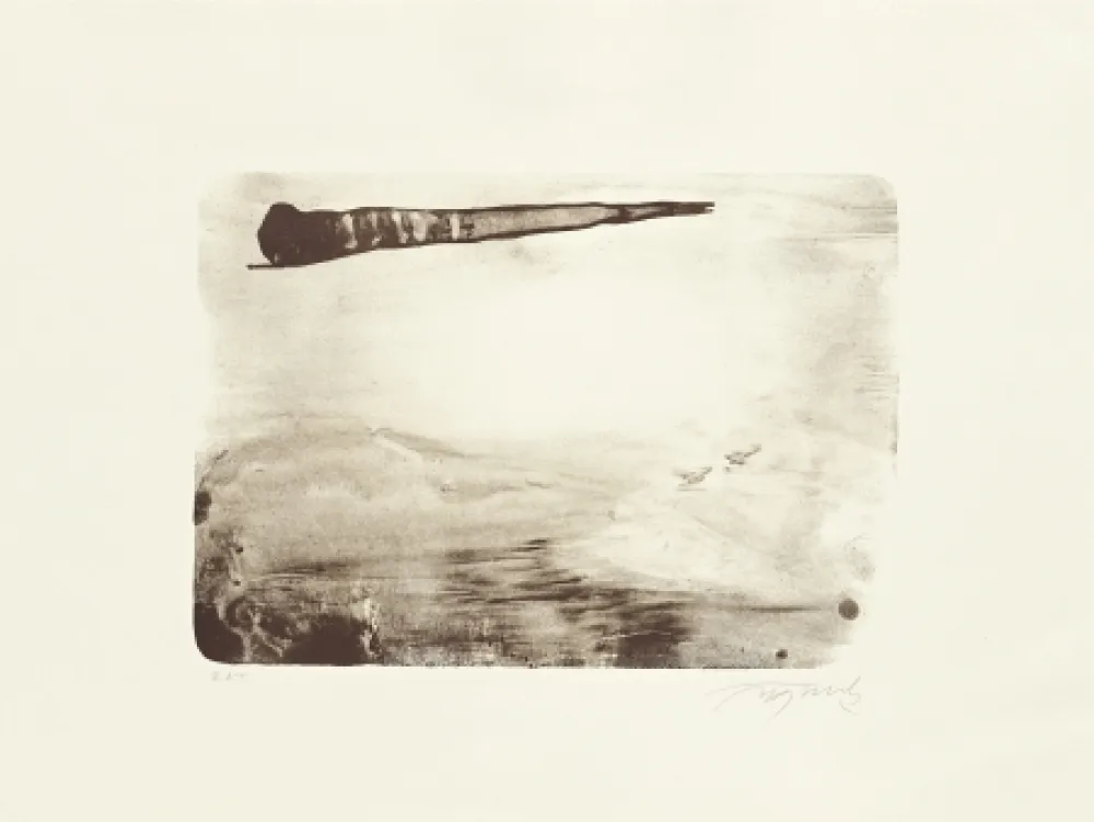 Litografia Fontela - Palm