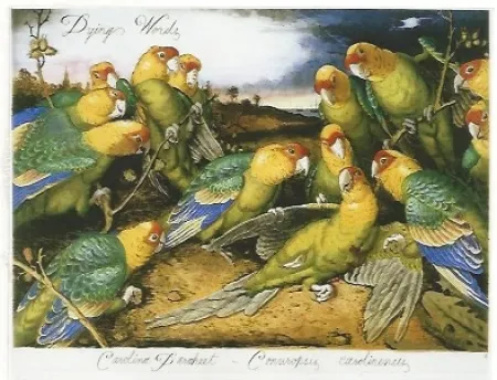 Múltiplo Ford - Dying words