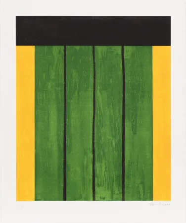 Litografia Forg - Erker Suite 01