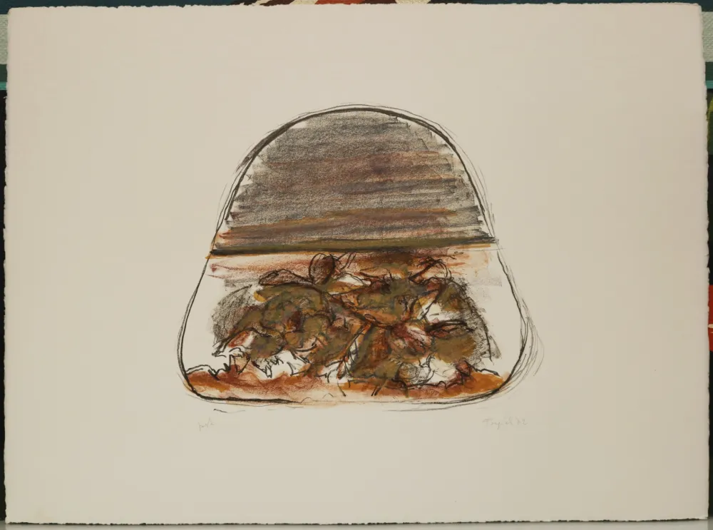 Litografia Forgioli - Isola 1972