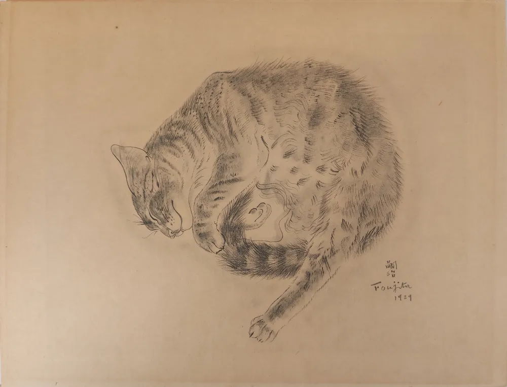 Gravura Foujita - Chat endormi