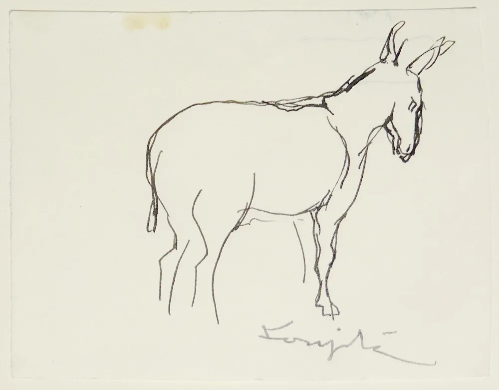 Sem Técnica Foujita - L'âne