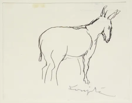 Sem Técnica Foujita - L'âne