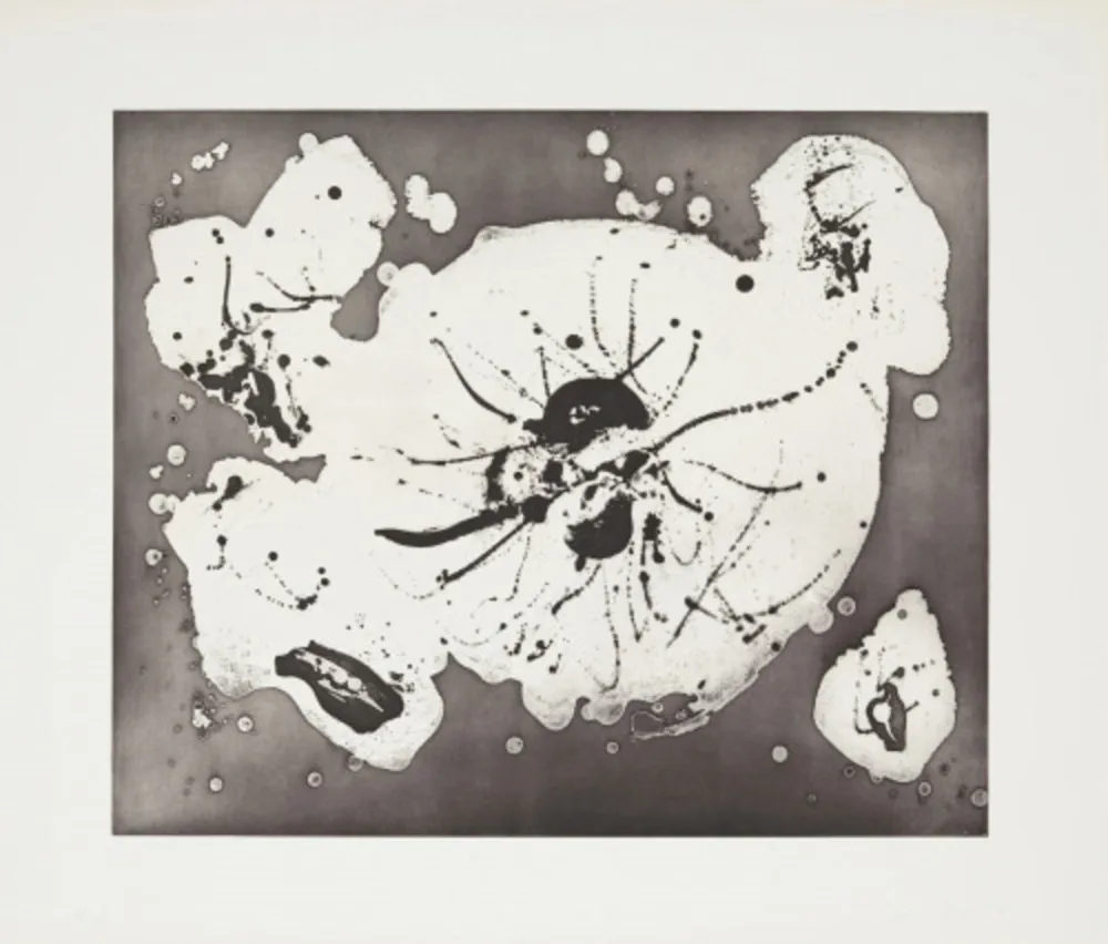 Água-Forte E Água-Tinta Francis - Island Plate