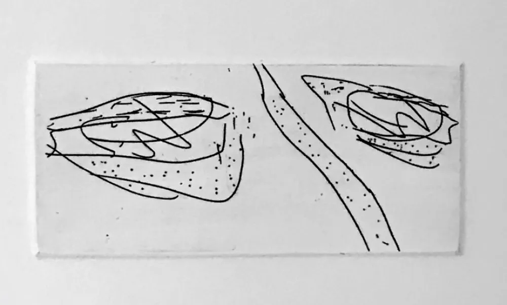 Água-Tinta Francis - Self Portrait