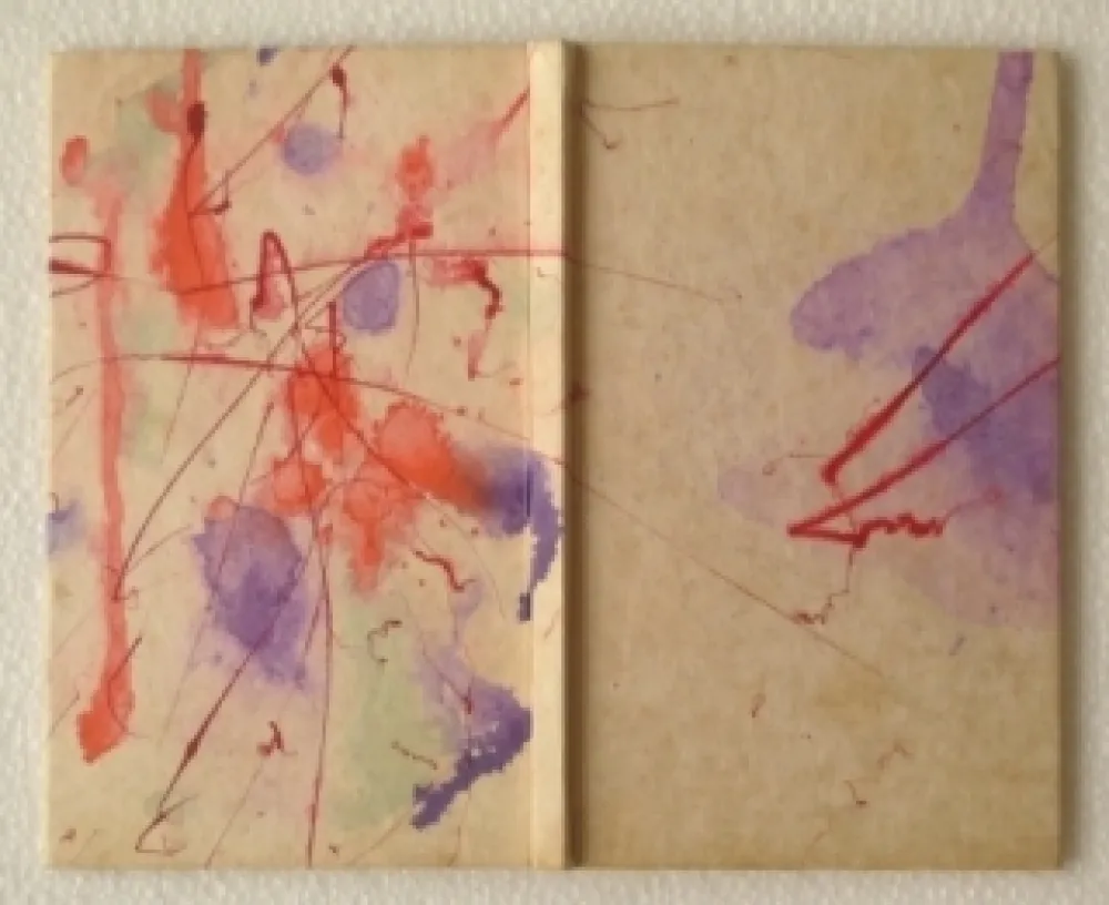 Livro Ilustrado Francis - YEA