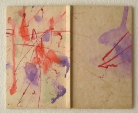 Livro Ilustrado Francis - YEA