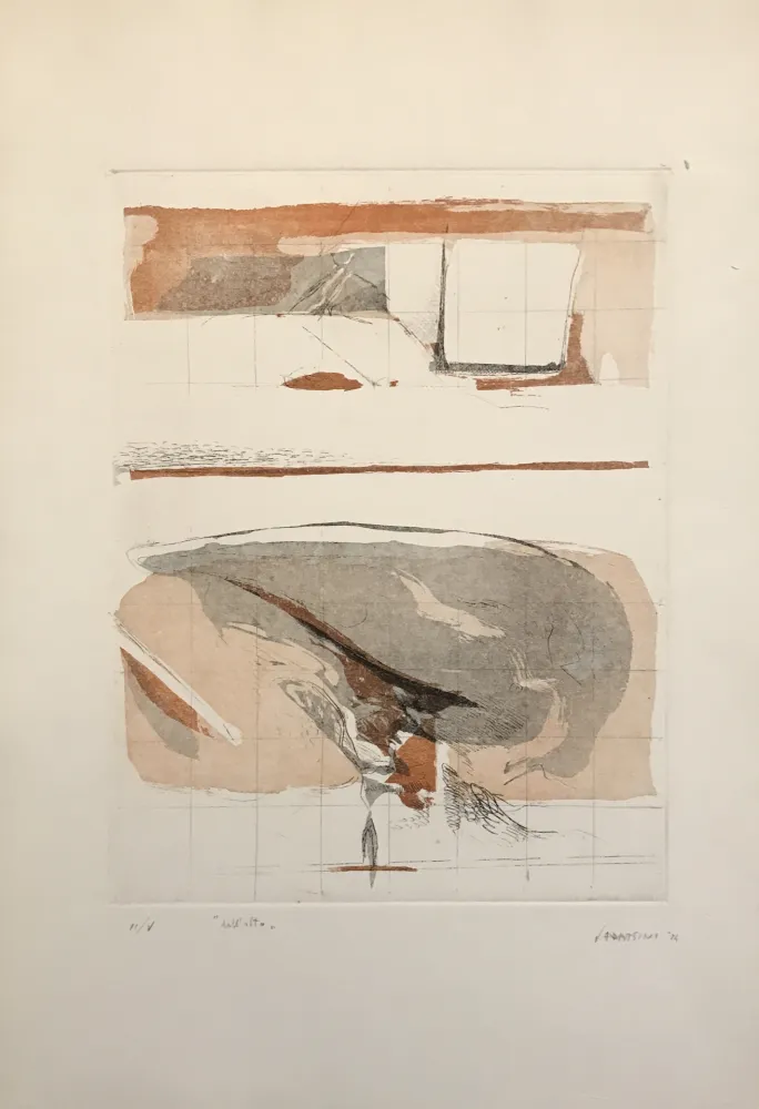 Água-Forte E Água-Tinta Frattini - Dall'alto