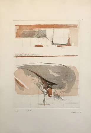 Água-Forte E Água-Tinta Frattini - Dall'alto