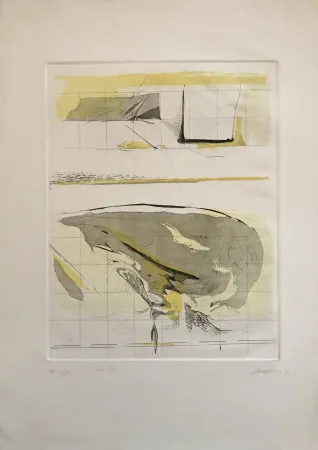 Água-Forte E Água-Tinta Frattini - Dall'alto