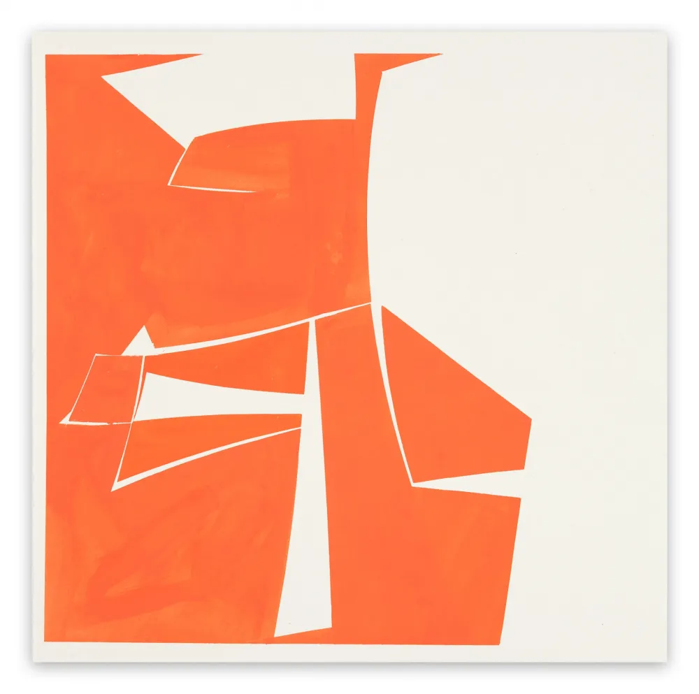 Sem Técnica Freeman - Covers 20 Red