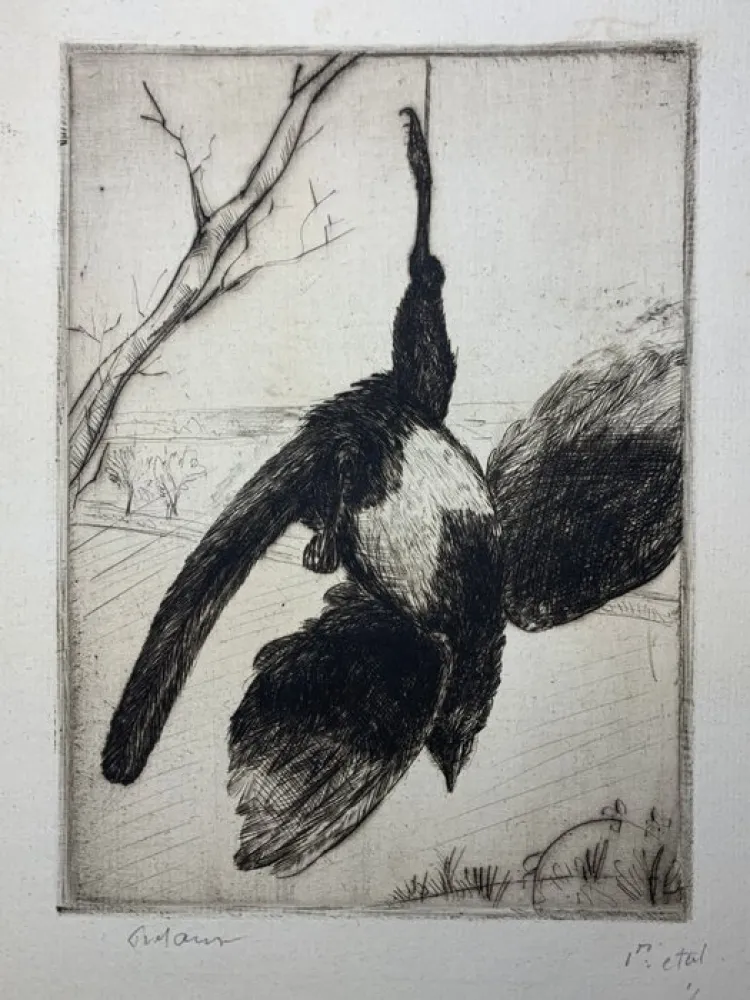 Água-Forte Frélaut - La pie morte