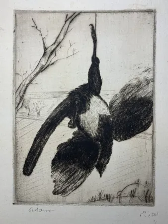 Água-Forte Frélaut - La pie morte