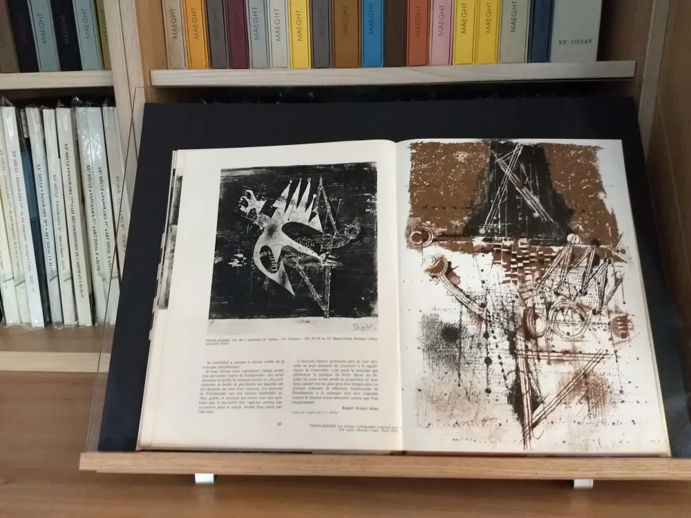 Livro Ilustrado Friedlaender - No 40