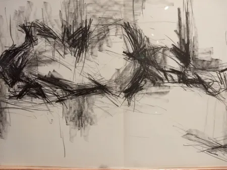 Livro Ilustrado Fromanger - DLM 150