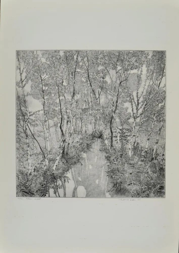 Água-Forte Galli - Alberi malati