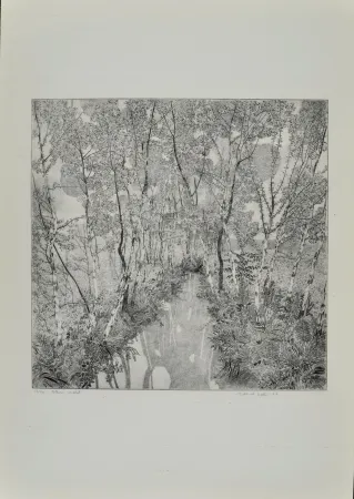 Água-Forte Galli - Alberi malati