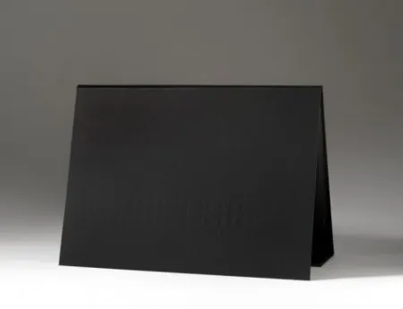 Litografia Gamarra - Portfolio RESELECCION NATURAL