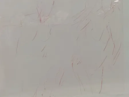 Litografia Garache - 2 personates v