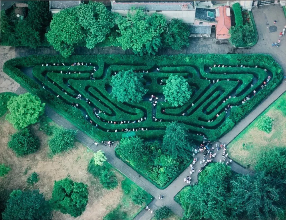 Fotografia Gerster -  Heckenlabyrinth, Hampton Court, UK, 1984. 
