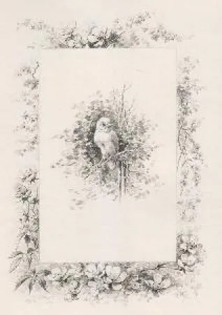 Livro Ilustrado Giacomelli - Histoire d'un merle blanc. Compositions de Hector Giacomelli gravées à l'eau-forte par L. Buisson.