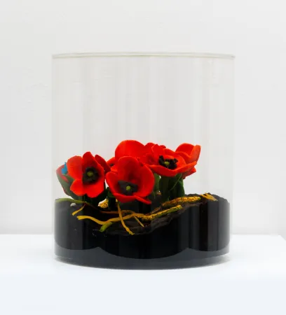 Múltiplo Gilardi - Papaveri