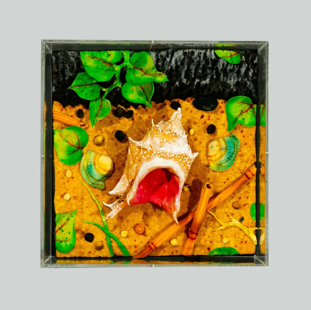 Sem Técnica Gilardi - Spiaggia vulcanica