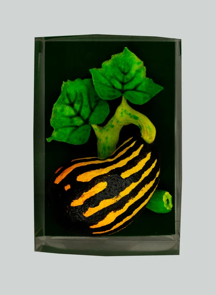 Múltiplo Gilardi - Zucchetta