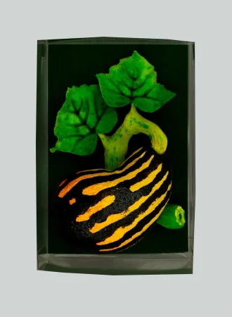 Múltiplo Gilardi - Zucchetta