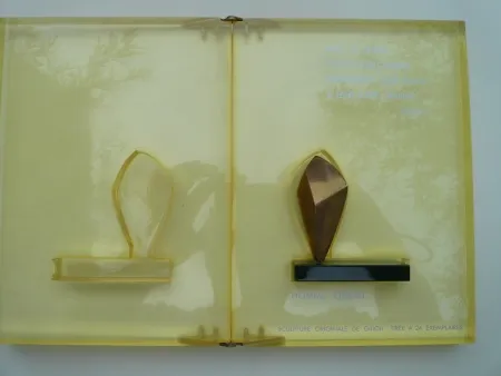 Sem Técnica Gilioli - Homme oiseau