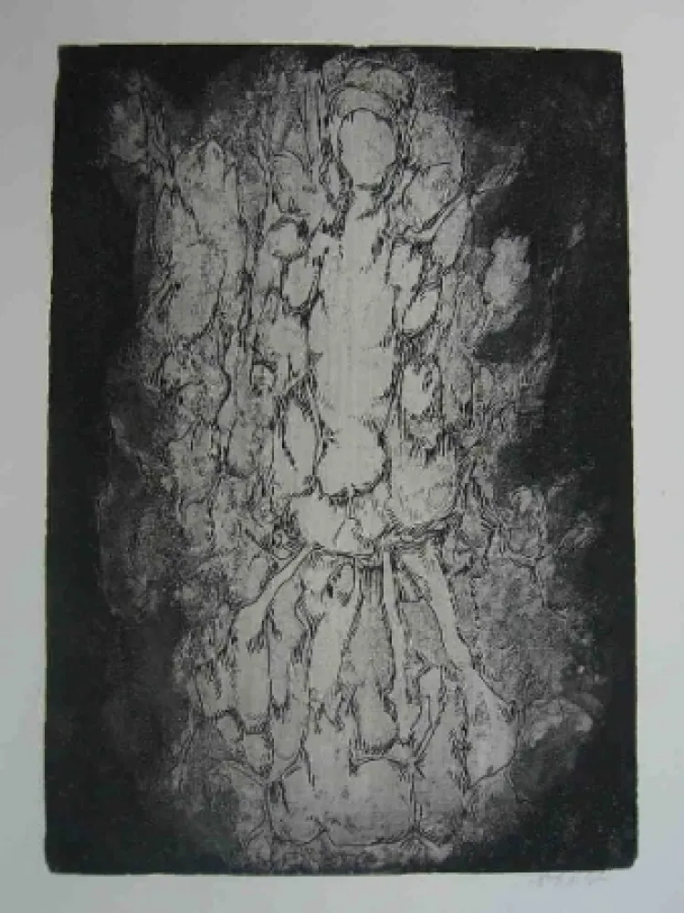 Água-Forte Gillet - Nymphe des rats