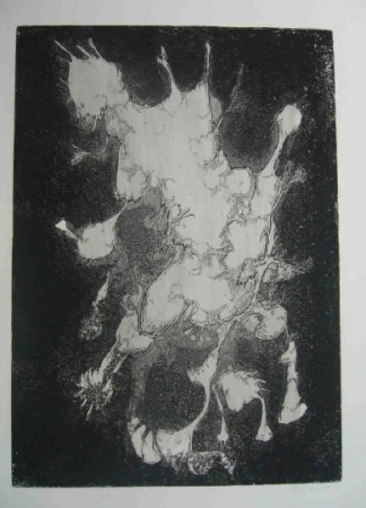 Água-Forte Gillet - Nymphe des rats