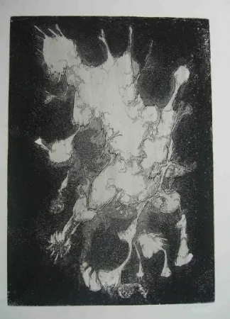 Água-Forte Gillet - Nymphe des rats