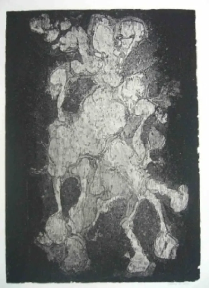 Água-Forte Gillet - Nymphe des rats