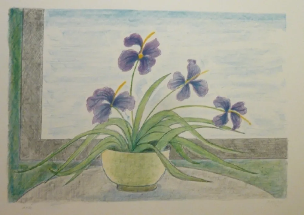 Litografia Girona - BOL I ILLIRS