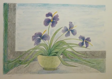 Litografia Girona - BOL I ILLIRS