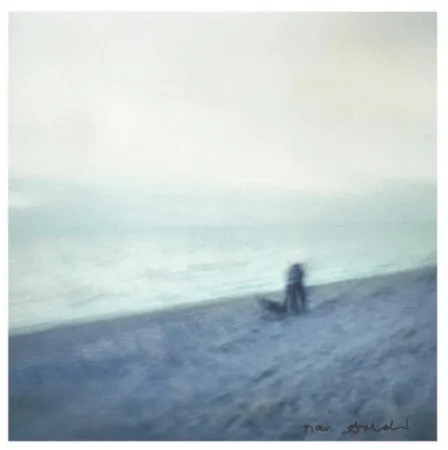 Múltiplo Goldin - Memory Lost Sirens