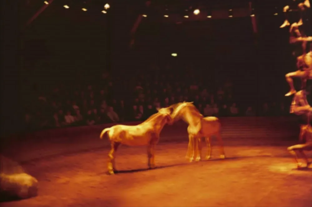 Múltiplo Goldin - Triptyk, Zingaro Equestrian Theater, Paris