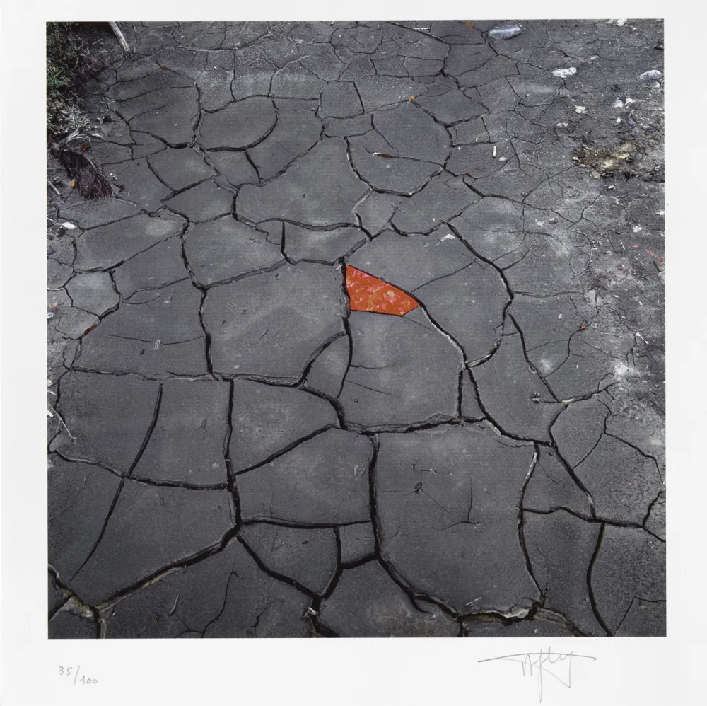 Gravura Digital Goldsworthy - Red Leaves on Cracked earth