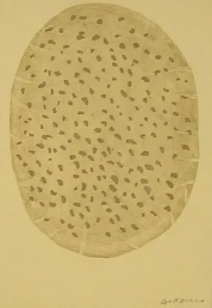 Água-Forte Gordillo - S/T