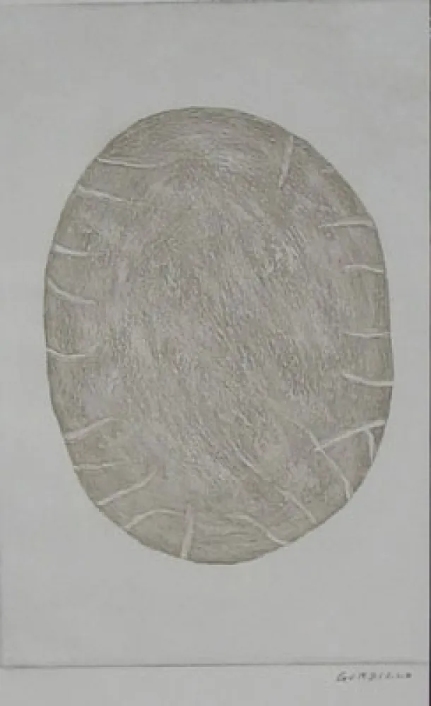 Água-Forte Gordillo - S/T