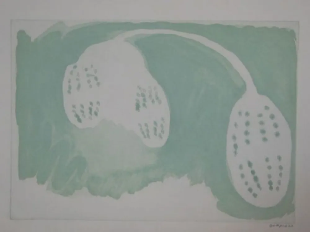 Água-Forte Gordillo - S/T